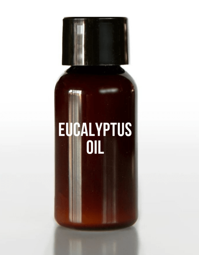 EUCALYPTUS OIL-MRP-Agro
