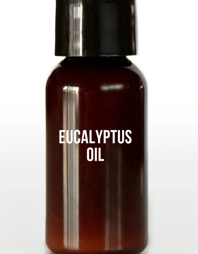 EUCALYPTUS OIL-MRP-Agro(2nd image)